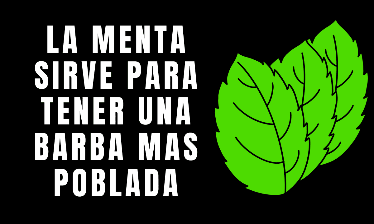 Funciona la menta para que salga mas barba